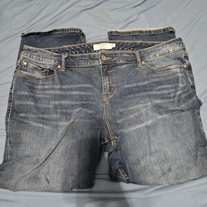 Torrid denim bootcut jeans 24s